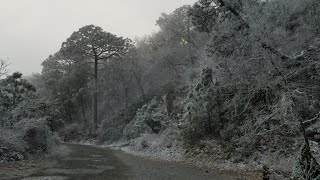 Senderismo Chipinque nevado [upl. by Phylys]