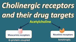 Cholinergic receptors and their drug targets [upl. by Smailliw]