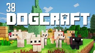 Doggy Day Out  Dogcraft Ep38 [upl. by Ateuqal]