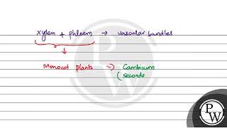 Vascular bundles in monocotyledons are considered closed because [upl. by Hpesoy]