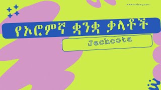 የኦሮምኛ ቋንቋ ቃላቶች  Jechoota afaan Oromoo part 1 [upl. by Aedrahs]