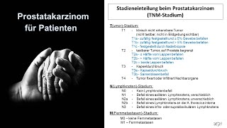 Prostatakarzinom für Patienten  Tumorstadien  Prof Hilke Vorwerk [upl. by Mizuki]