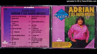 Adrian Y Los Dados Negros Grandes Exitos Cd Completo [upl. by Froehlich]