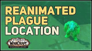 How to get Reanimated Plague WoW Pet [upl. by Eenalem]