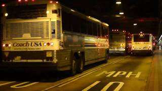 A Parade Of New Jersey Transit Buses In The Port Authority Bus Terminal [upl. by Anitsirk]