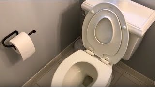 How to install a Childtoddler Potty Seat for potty training  FAST amp EASY [upl. by Saul]