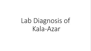 Laboratory Diagnosis of Kala Azar  Parasitology [upl. by Ylas243]