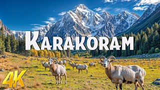 Karakoram 4K Drone Footage Cinematic  Inspiring Cinematic Music With Scenic Relaxation Film [upl. by Idnic931]