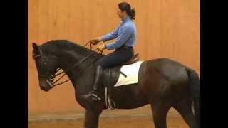 More indepth skeletal riding and obtaining flexion With Catherine Haddad [upl. by Bazil116]