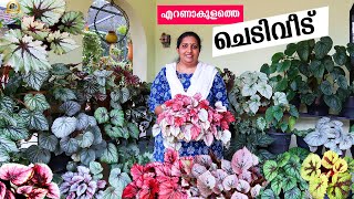 ചെടികൾ നിറഞ്ഞ ഈ വീട് കാണേണ്ടത് തന്നെBEGONIA PLANT CARE  How to Grow and Propagate Begonia Cuttings [upl. by Atonsah910]