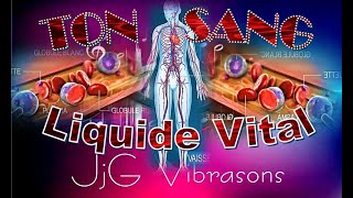 TON SANG  LE LIQUIDE VIVANT amp VITAL DE TON VÉHICULE CORPOREL à maintenir le plus propre possible [upl. by Sonya996]