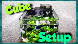 Aquarium  Einrichten  Dennerle Cube  nano Cube  Komplett set [upl. by Myo]