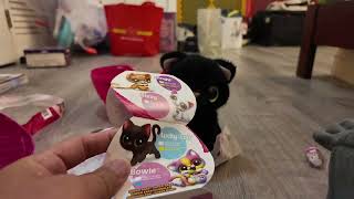 Batty Adopts a Catnot real lol Zuru Pets Alive Smitten Kittens Unboxing [upl. by Lapointe]