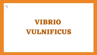 Vibrio vulnificus its morphology clinical findings treatment in JUST 7 mins [upl. by Ck]