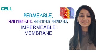 PermeableSemi PermeableSelectively PermeableImpermeable MembraneDifferenceCell [upl. by Seale401]