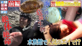 【ザ！世界仰天ニュース】海に潜む衝撃の危険生物（前編） [upl. by Lund]