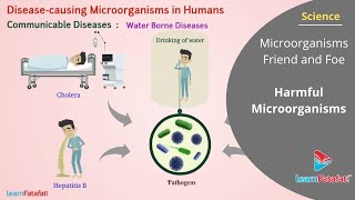 Microorganisms Friend and Foe Class 8 Science  Harmful Microorganisms [upl. by Gibeon285]