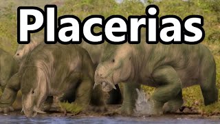 Placerias Giant Triassic Herbivore [upl. by Einaoj]