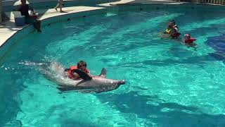 Swimming with the dolphins Adaland Kusadasi 2019 [upl. by Siraf696]