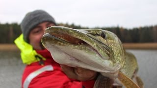 Pike Fishing in the Baltic Sea the Life at Pikepride Lodge [upl. by Itraa]