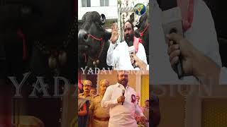 Baahubali Dunna Laddu Yadav in Skanda Movie  స్కంద మూవీ లో బాహుబలి దున్న లడ్డు యాదవ్  sadar [upl. by Rehpotsihrc905]