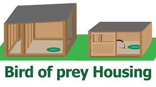 How to house a Bird of Prey  Where do Birds of Prey live  Where should i keep my hawk [upl. by Leizo]