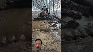 How to make biogas from the farm agriculture farming automobile animals technology knowledge [upl. by Serrano]