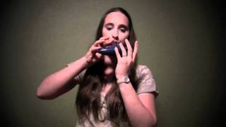 Zeldas Lullaby on STL Zelda Double Ocarina [upl. by Ycart471]