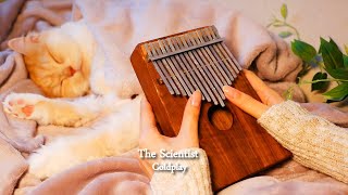 The Scientist Coldplay  Kalimba cover [upl. by Had79]