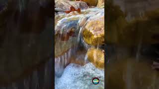 A Relaxing Stream Soundscape aquaticstream waterfall aquascaping shorts rennovation [upl. by Eiramrefinnej]