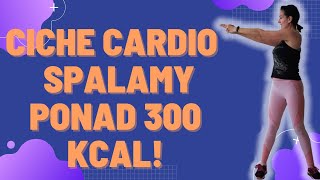 Ciche cardio dla początkujących na stojąco Bez maty bez skakania bez tupania Palimy 300 kcal [upl. by Weissberg]