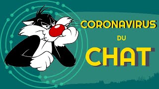 Coronavirus du chat la PIF [upl. by Ridan511]