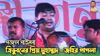 ত্রিভুবনের প্রিয় মুহাম্মদ  জহির পাগলা  Jahir Pagla  গজল  Baul Gaan  সফর পাগলা  Sofor Pagla [upl. by Danae]