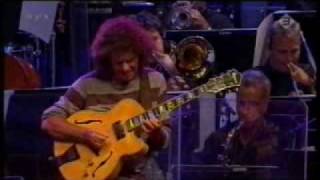 Pat Metheny  Minuano [upl. by Nyvar484]