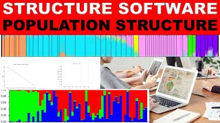 Population genetics Analysis in STRUCTURE Software  Molecular Data  AdmixtureStudentsCanCreate [upl. by Bryner]