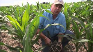 South Dakota Soil Story with Bryan Jorgensen Ideal SD [upl. by Charlet]