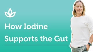 How Iodine Supports Gut Health [upl. by Yart]