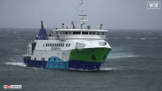 Fui ver o Barco chegar ao Porto da Madalena Ilha Pico 2024 [upl. by Eilrebmik763]