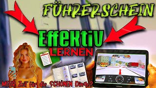 EFFEKTIV Theorie Lernen 🫵🏼🚘 ALLE Infos [upl. by Nnahgiel]