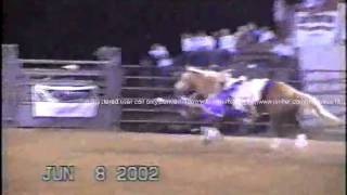 Trick Riding perryville mo stroudwmv [upl. by Aneert]