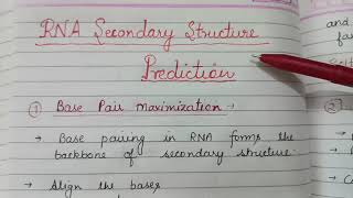 RNA Secondary structure prediction [upl. by Charleen]