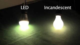 LED A19 Light Bulbs  Benefits amp Advantages over Incandescents [upl. by Neirda300]