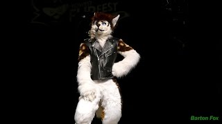 Midwest FurFest 2016  Dance Competition  Dexter [upl. by Bihas949]