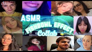 ASMR THE BEST Fishbowl Effect COLLAB 9 creators [upl. by Holden55]