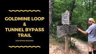 Goldmine Loop amp Tunnel Bypass Trail Great Smoky Mountains [upl. by Nosduj]