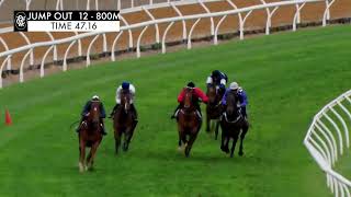 Flemington Jump Outs 1 Dec 2023 Jump Out 12 [upl. by Casavant]