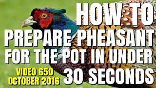 HOW TO  PREPARE PHEASANT FOR THE POT IN UNDER 30 SECONDS [upl. by Jahdiel]