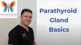 Parathyroid Gland Basics [upl. by Sidnarb]