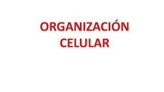 Organización celular [upl. by Paola]