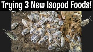 Isopod Feeding Frenzy Three New Foods [upl. by Prudence]